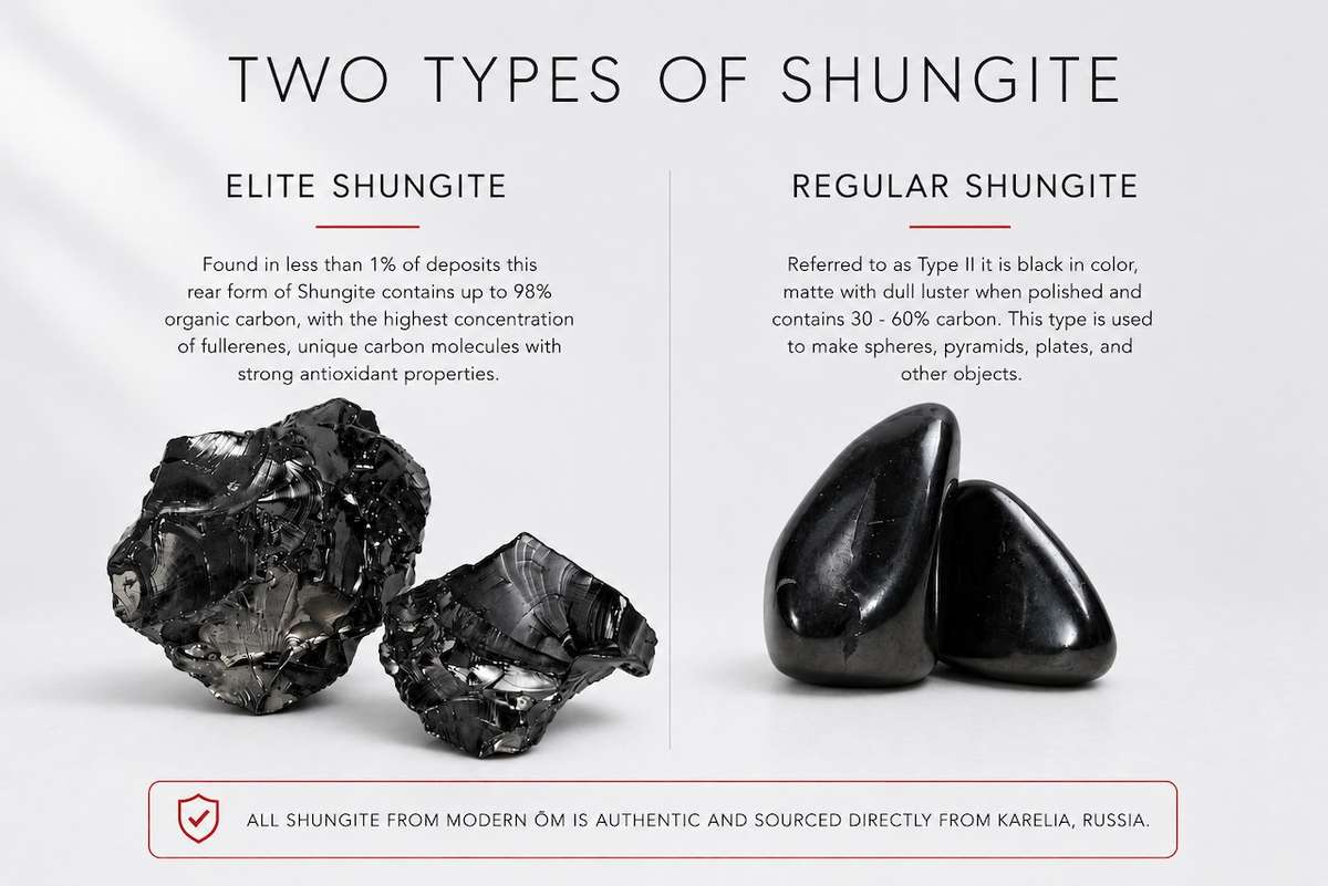 Elite Shungite and regular Shungite comparison showing the two main types of authentic Shungite
