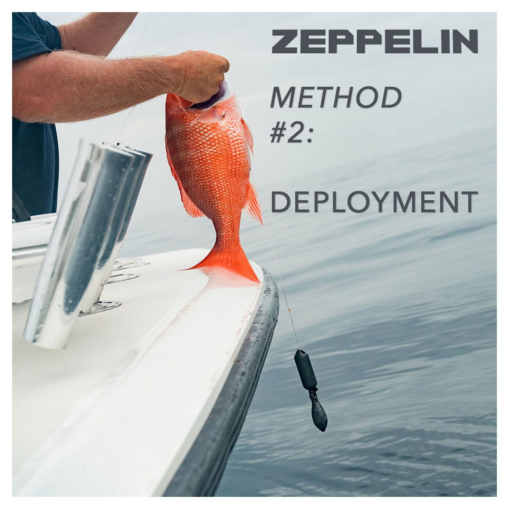 Sharkbanz Fishing - Zeppelin – Waterloo Rods