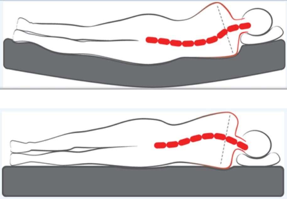 Thevo Mattresses constantly support spine alignment