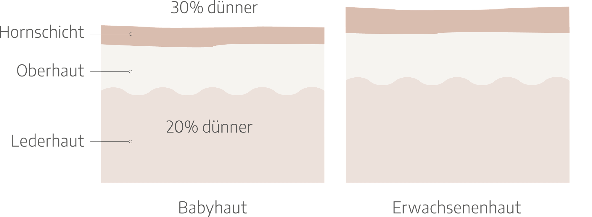 Im Vergleich zu Erwachsenenhaut sind Hornschicht und Oberhaut des Babys deutlich durchlässiger und die Hautschutzbarriere noch nicht ausgebildet