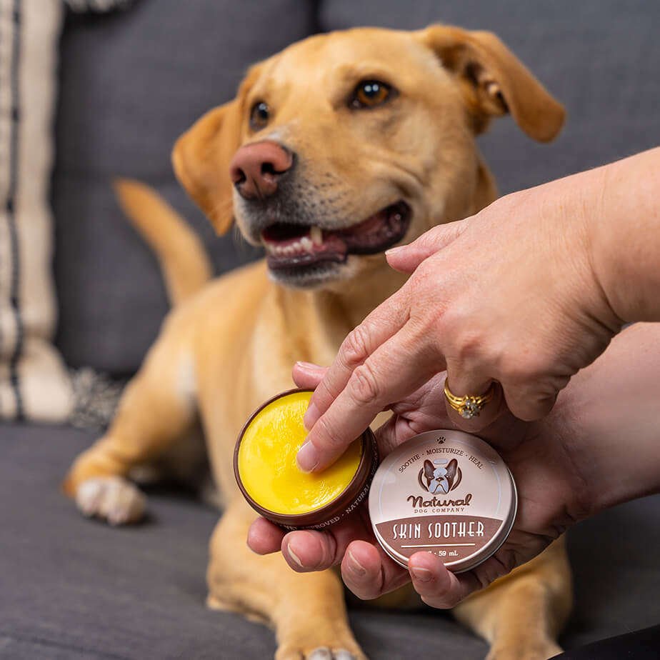 Natural Dog's Skin Soother Healing Balm