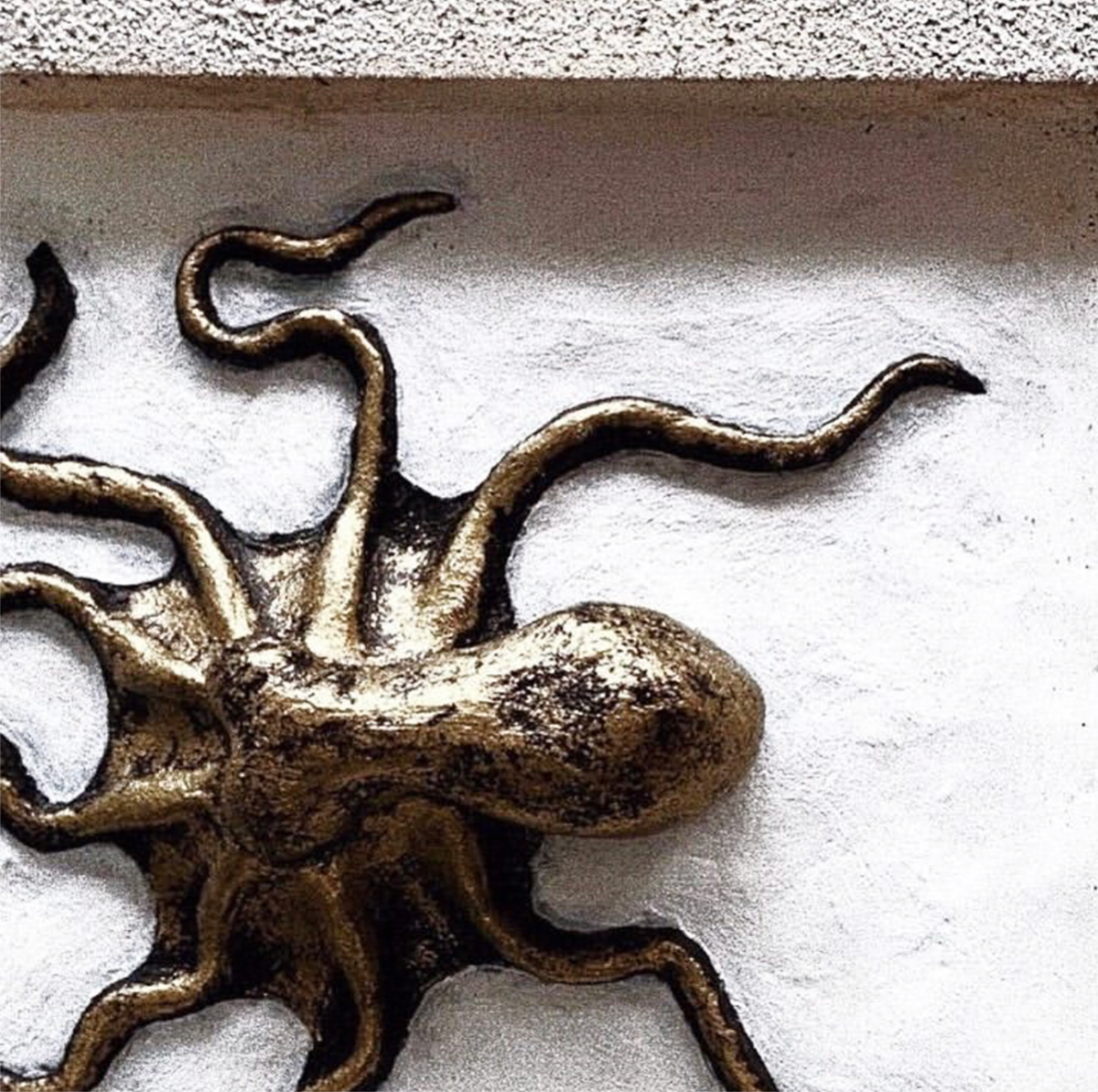 Octopus Framed Clay Sculpt