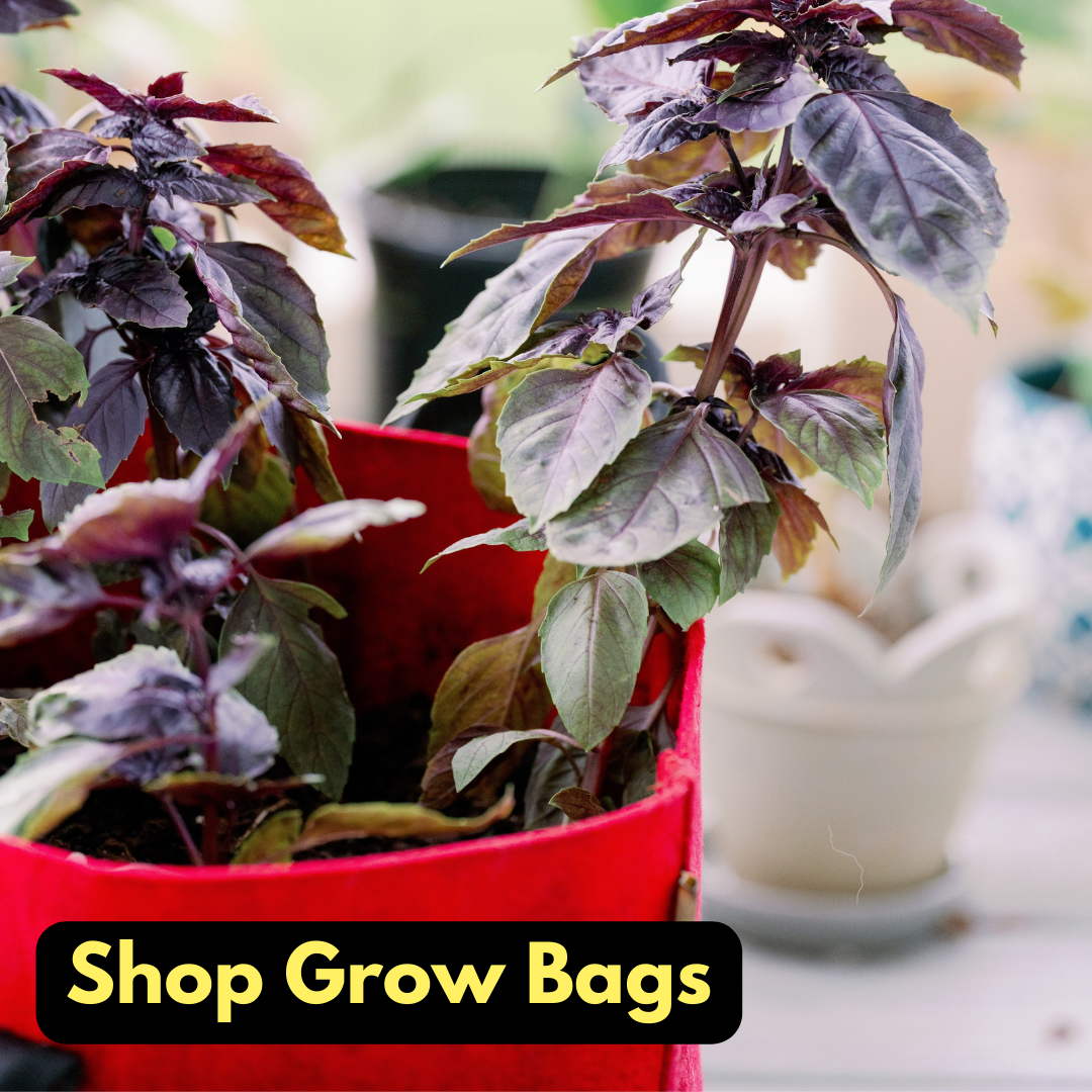 shop grow bags