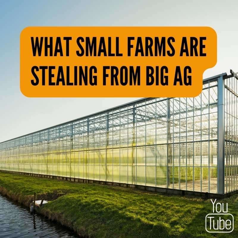 what small farms are stealing from big ag