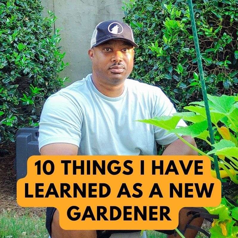10 things I have learned as a new gardener