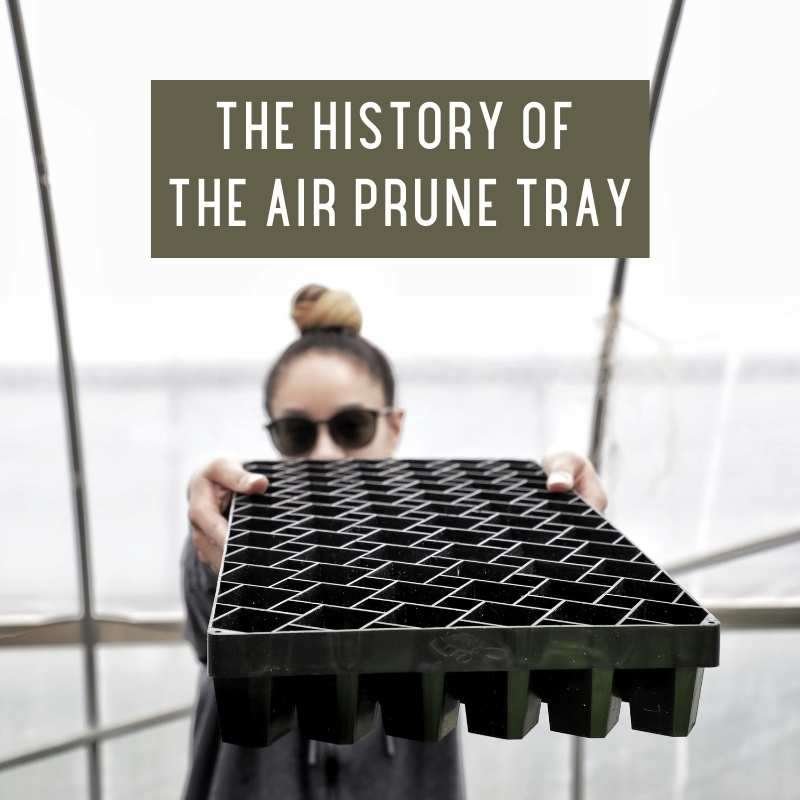history of the air prune tray