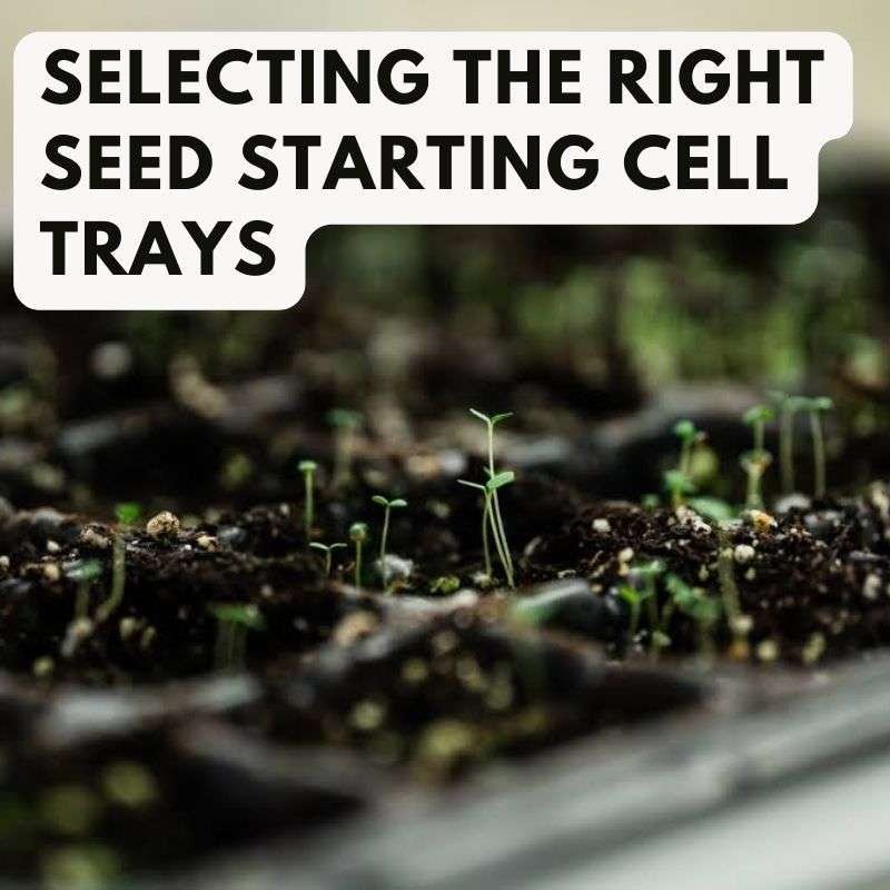 selecting the right cell tray size