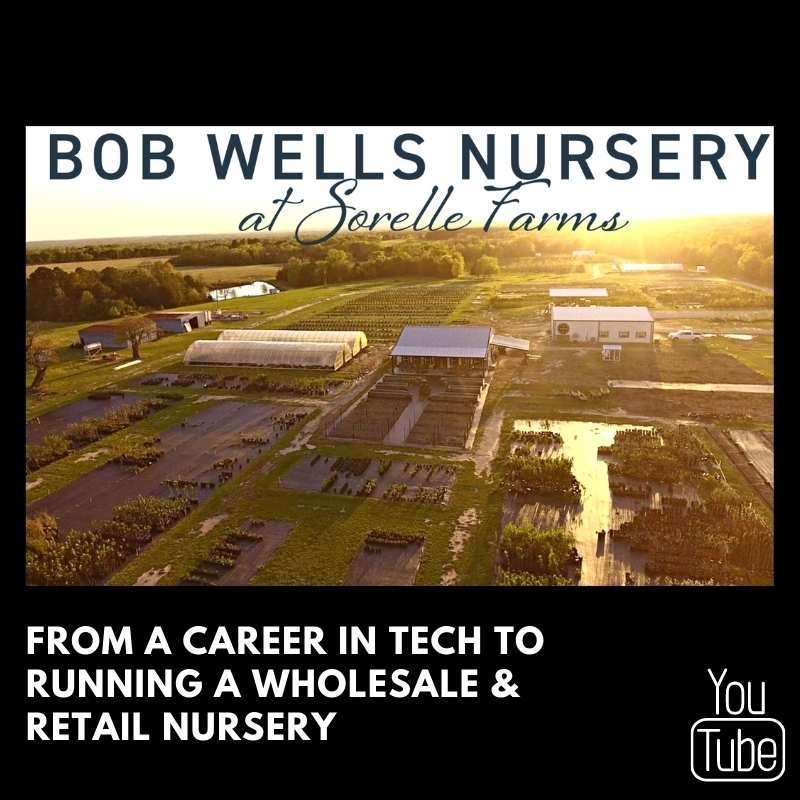 bob wells nursery