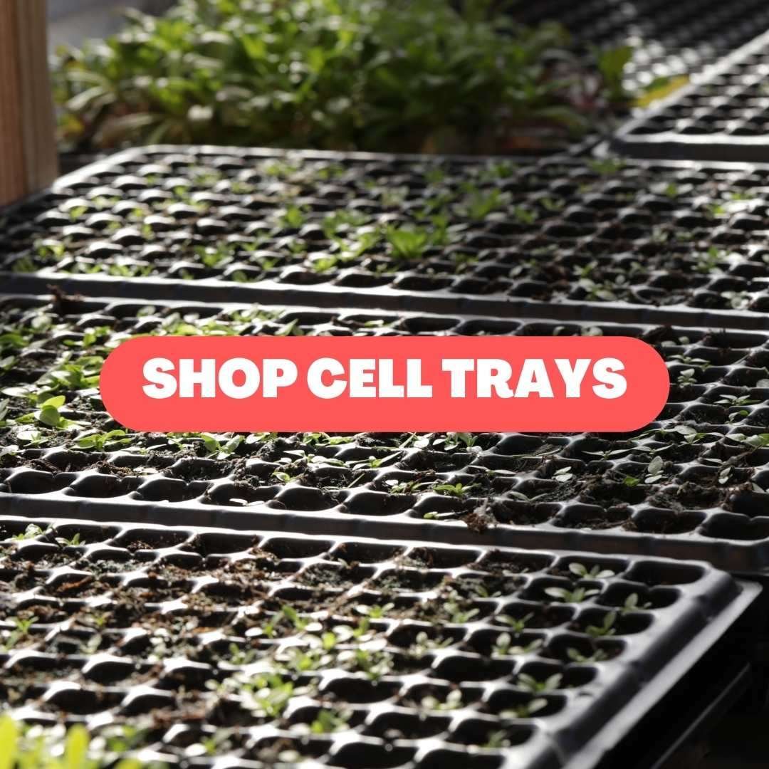 shop cell trays
