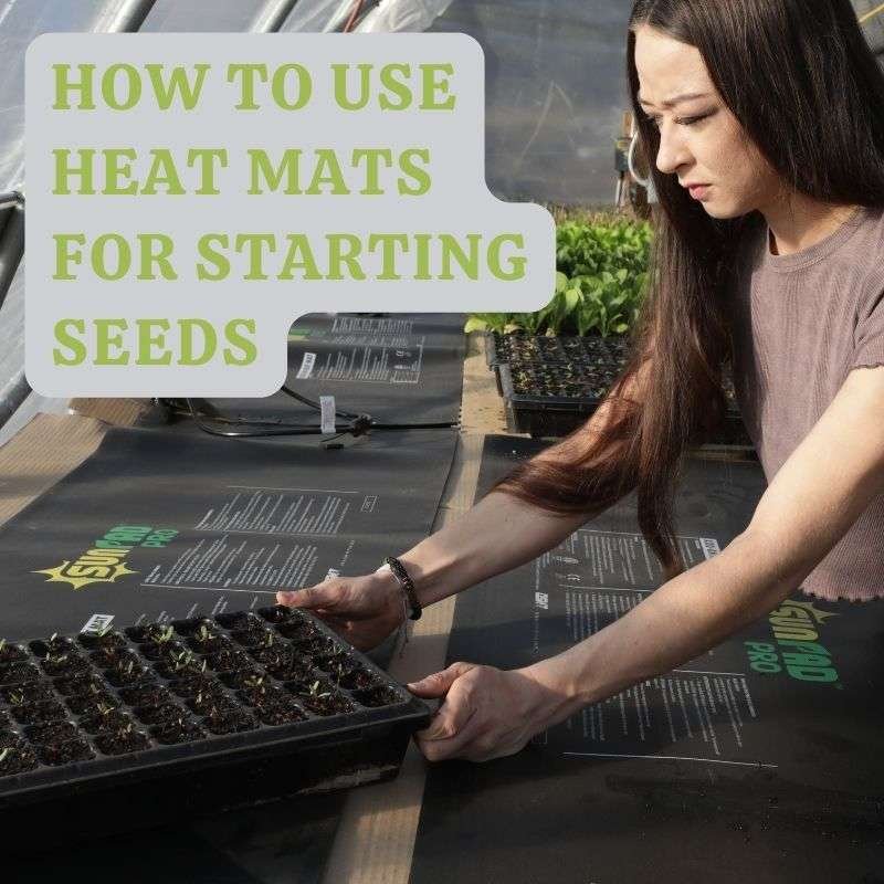 heat mats for seed starting