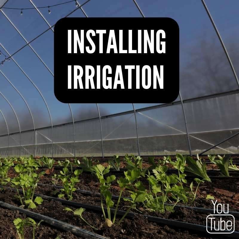 installing irrigation