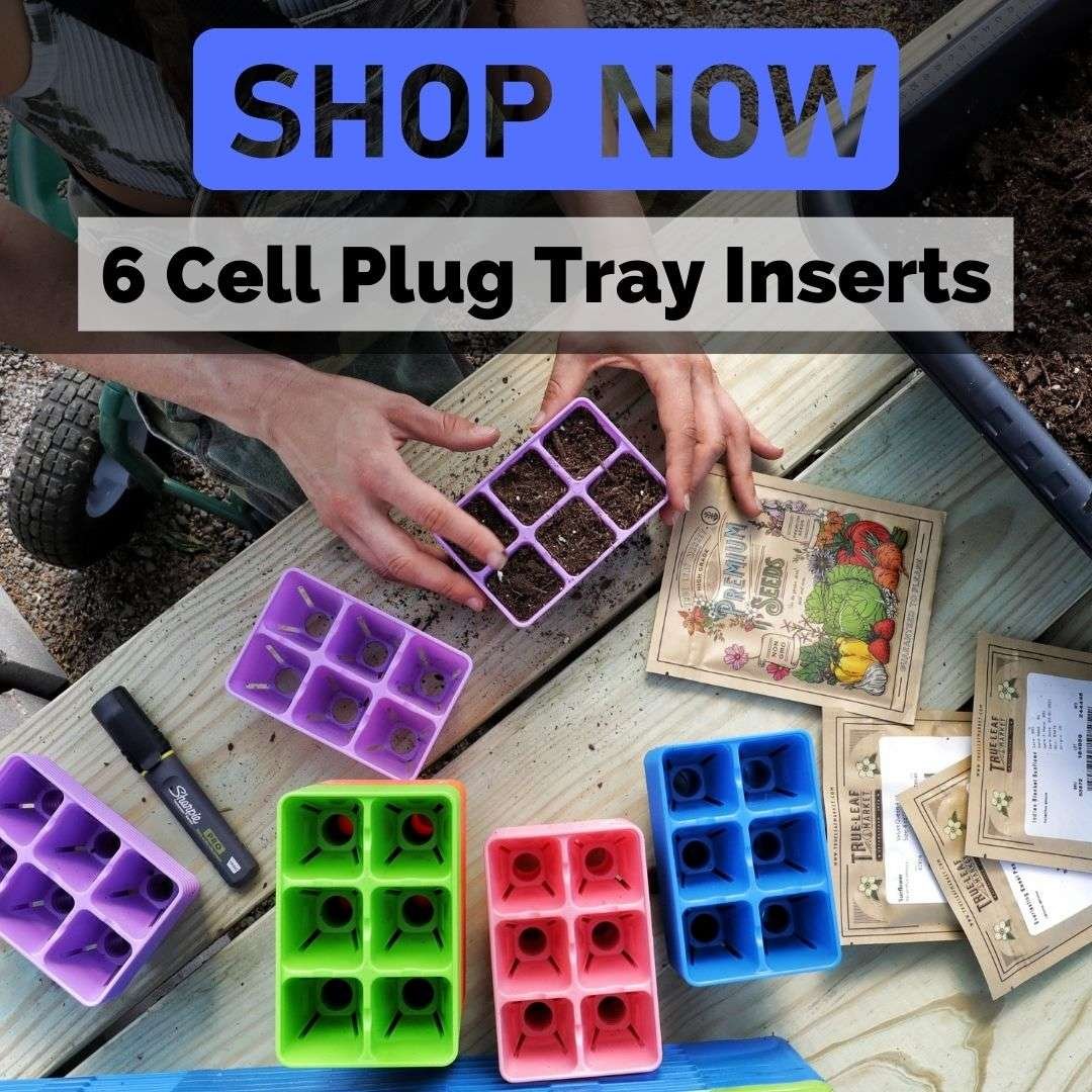 6 Cell Plug Trays with Air Pruning