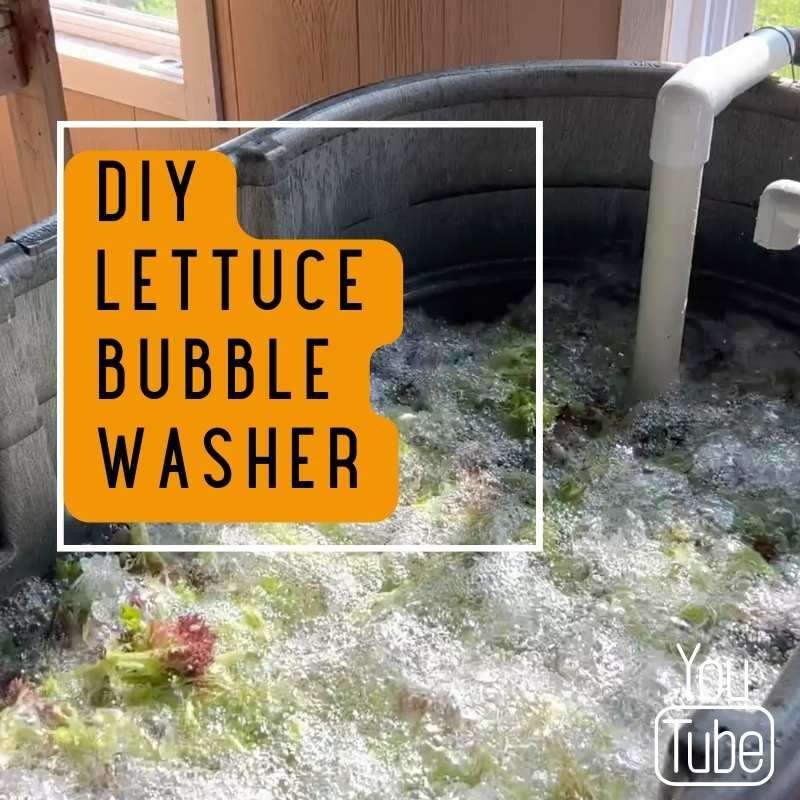 DIY Lettuce Bubble Washer