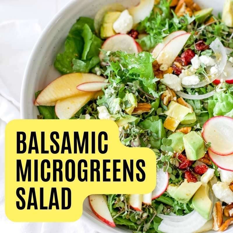 balsamic microgreens salad