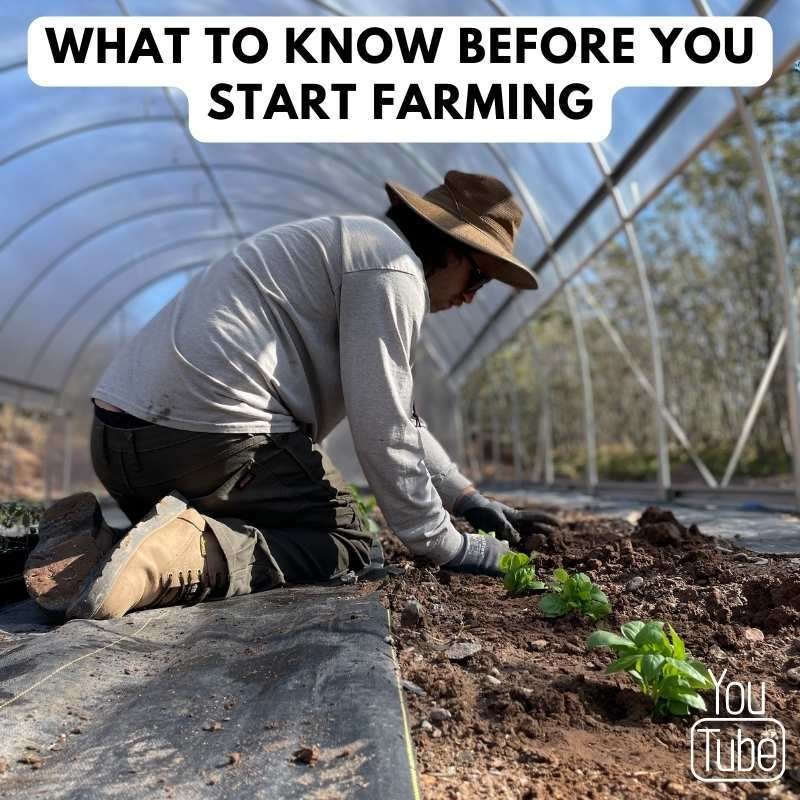 what to know before you start a farm