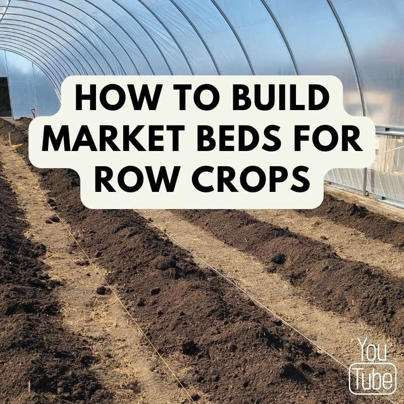 building raised beds for row crops