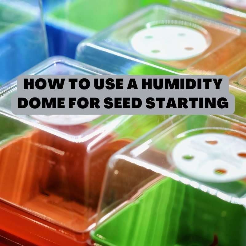 how to use a humidity dome