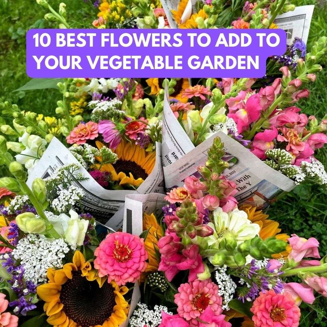 adding flowers to a vegetable garden