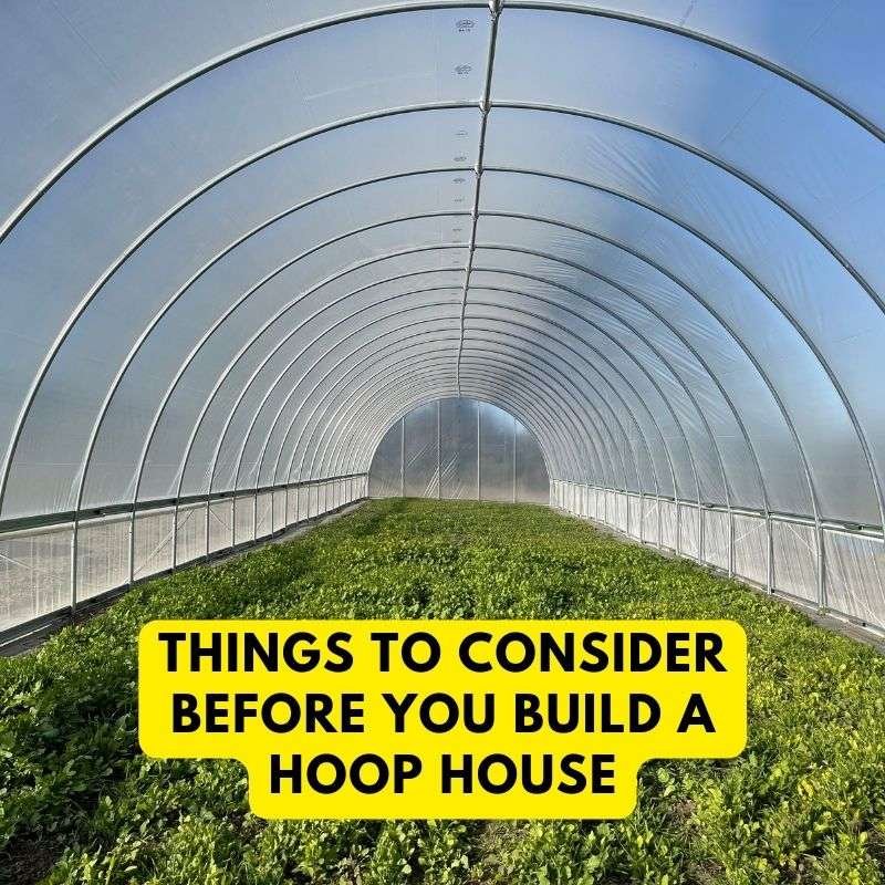 things to consider before you build a hoop house