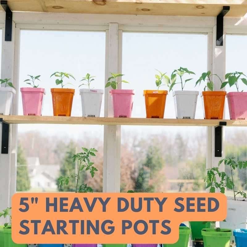 5" seed starting pots