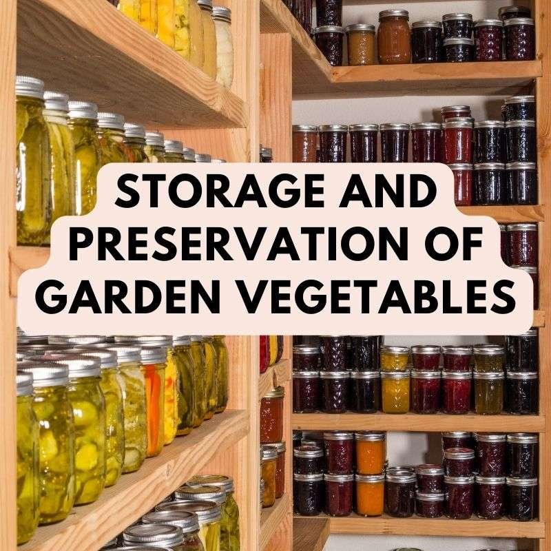 preservation of garden vegetables