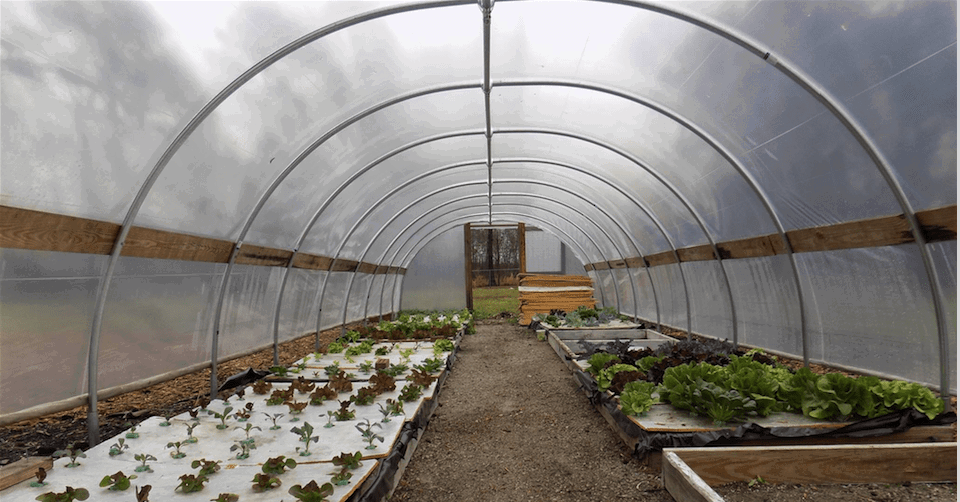 Upgrades to a Caterpillar Tunnel or Hoop House | Bootstrap Farmer