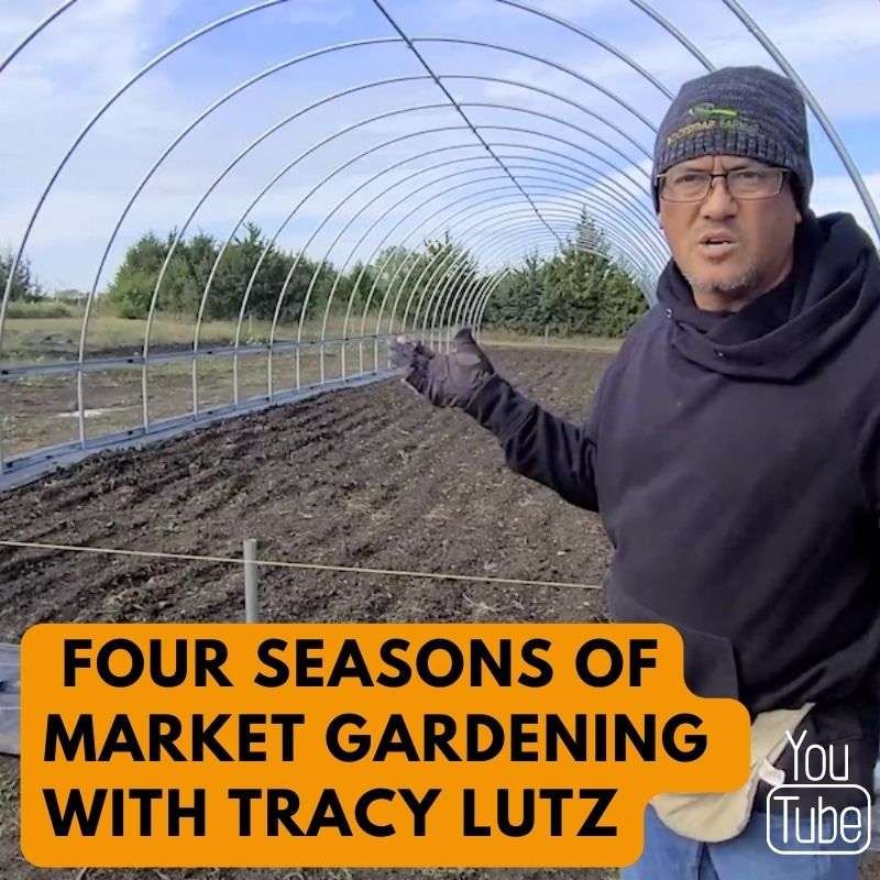 4 seasons of market gardening with tracy lutz