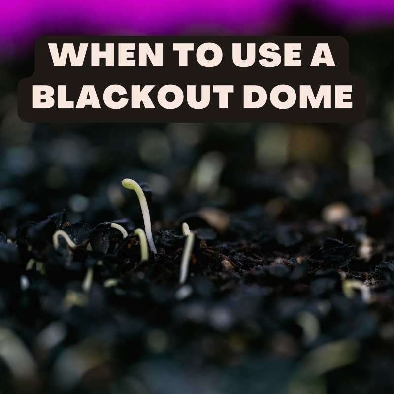 blackout dome