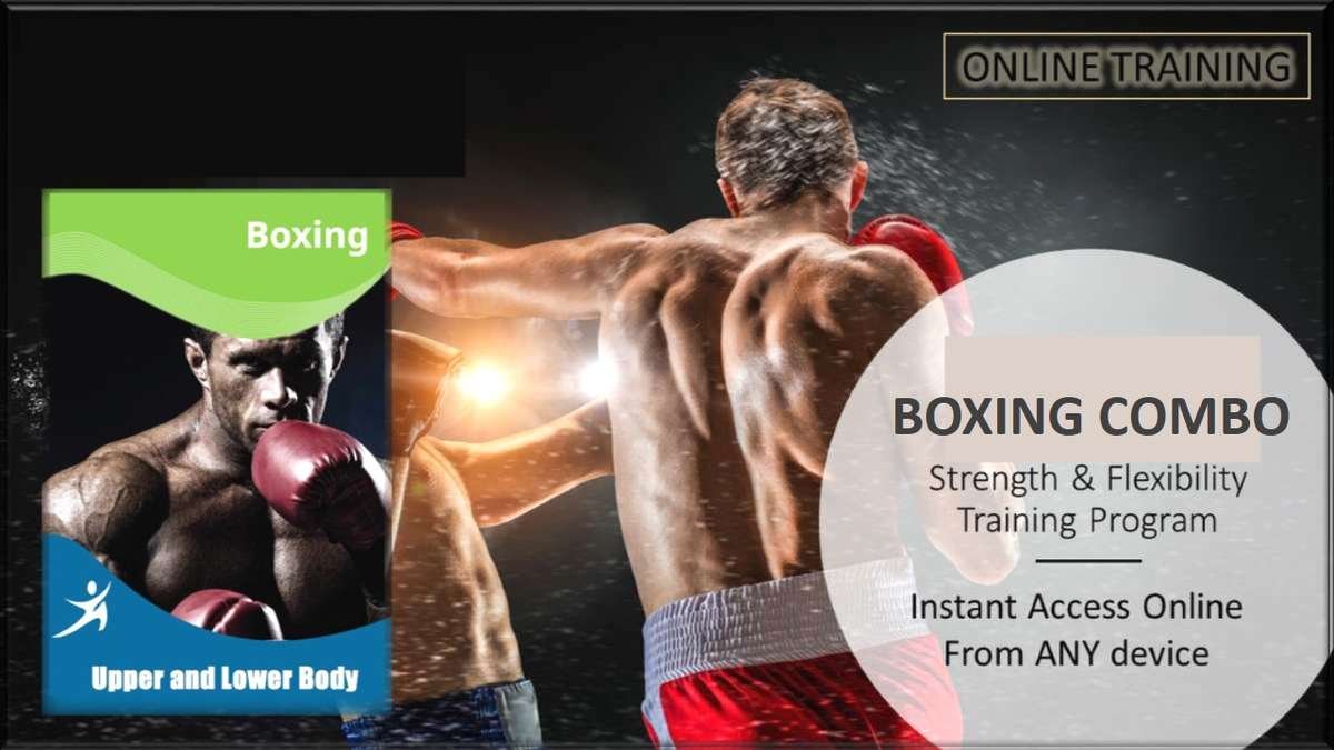 online boxing training program