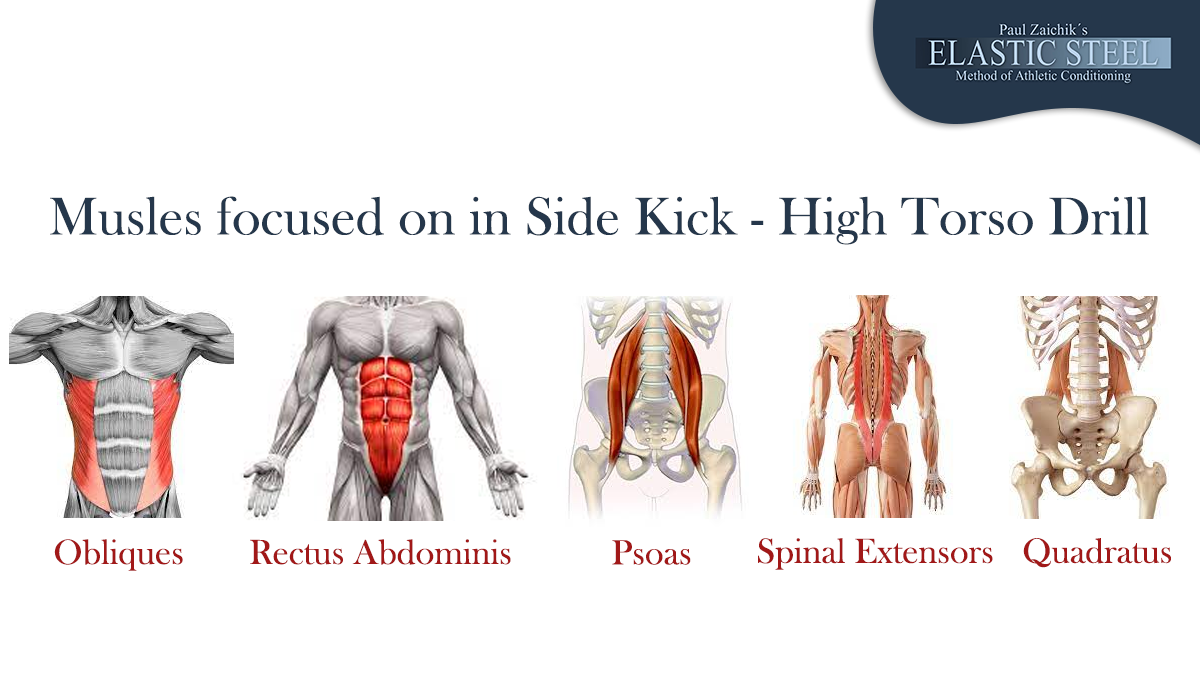 Muscles of Side Kick Abdomen