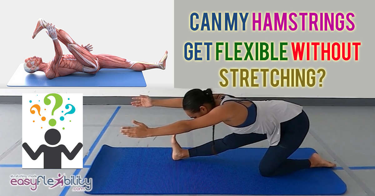 Can My Hamstrings Get Flexible Without Stretching? — ElasticSteel