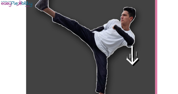 Side Kick Analysis (part 4) — ElasticSteel