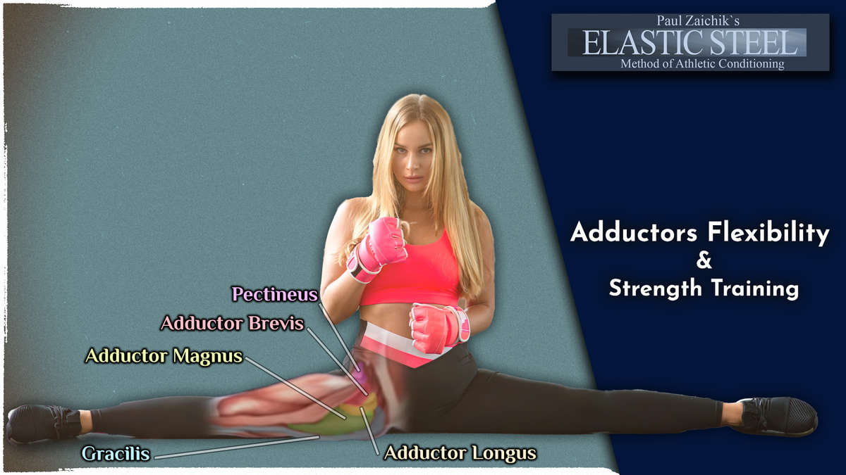 Adductors Flexibility Strength Training