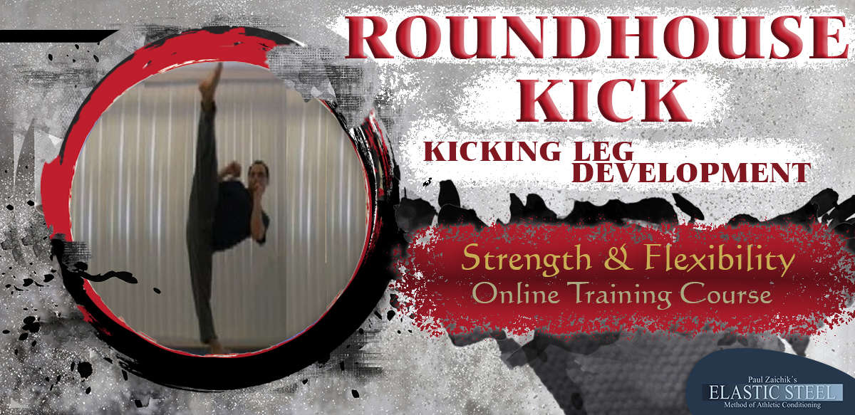 Roundhouse Kick Technical Kicking Leg Development ElasticSteel