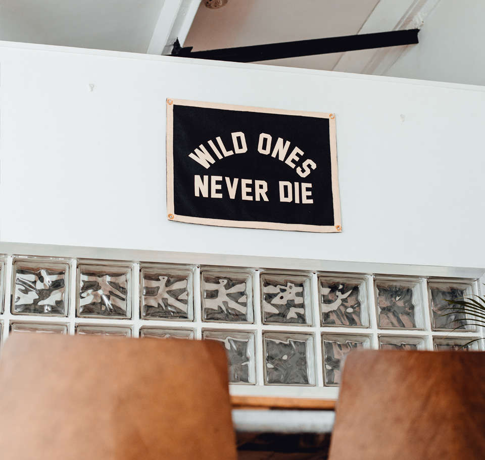 P&Co - 5 Years Wild Flag - Provision & Co - Wild Ones Never Die P&Co - 5 Years Wild Flag - Provision & Co - Wild Ones Never Die