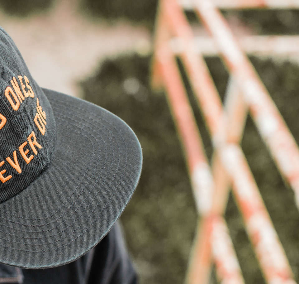 P&Co - 5 Years Wild Cap - Provision & Co - Wild Ones Never Die P&Co - 5 Years Wild Cap - Provision & Co - Wild Ones Never Die