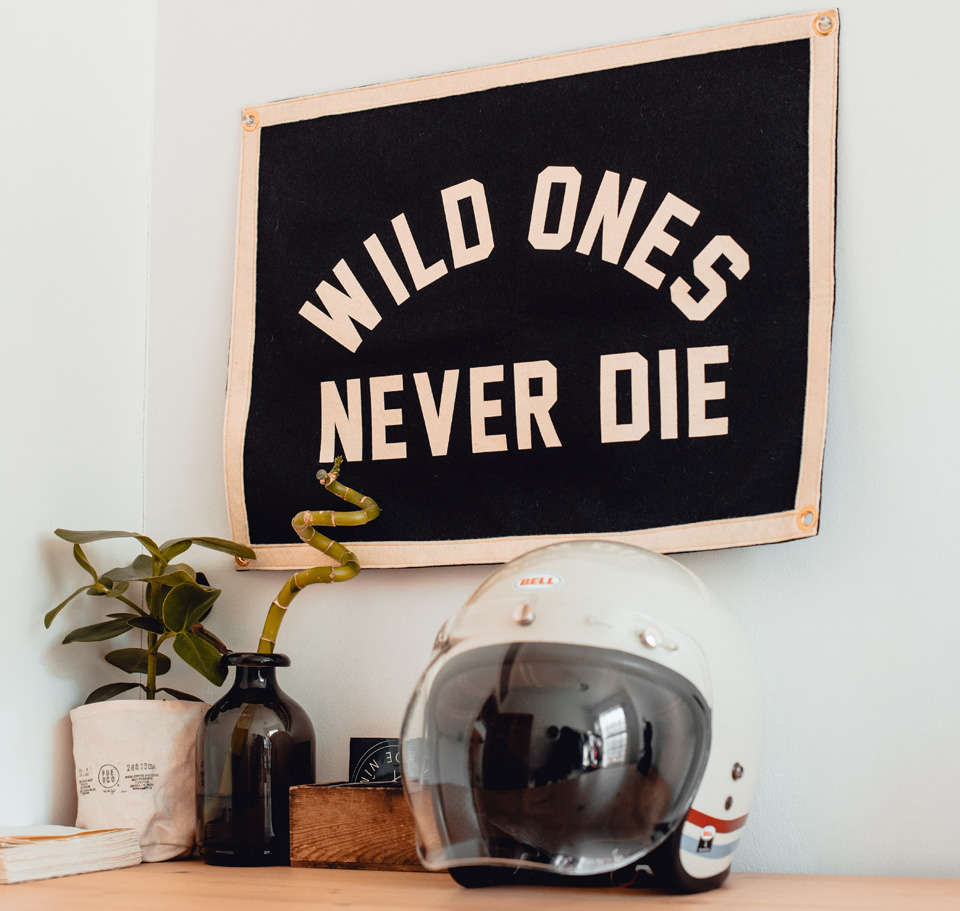 P&Co - 5 Years Wild Flag - Provision & Co - Wild Ones Never Die P&Co - 5 Years Wild Flag - Provision & Co - Wild Ones Never Die