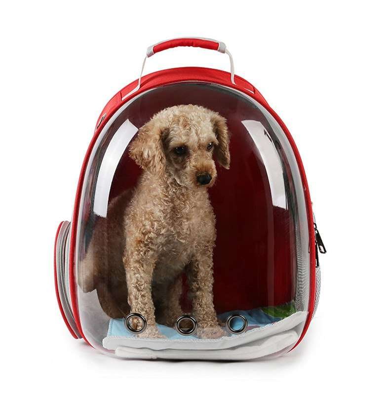 westgate pets backpack
