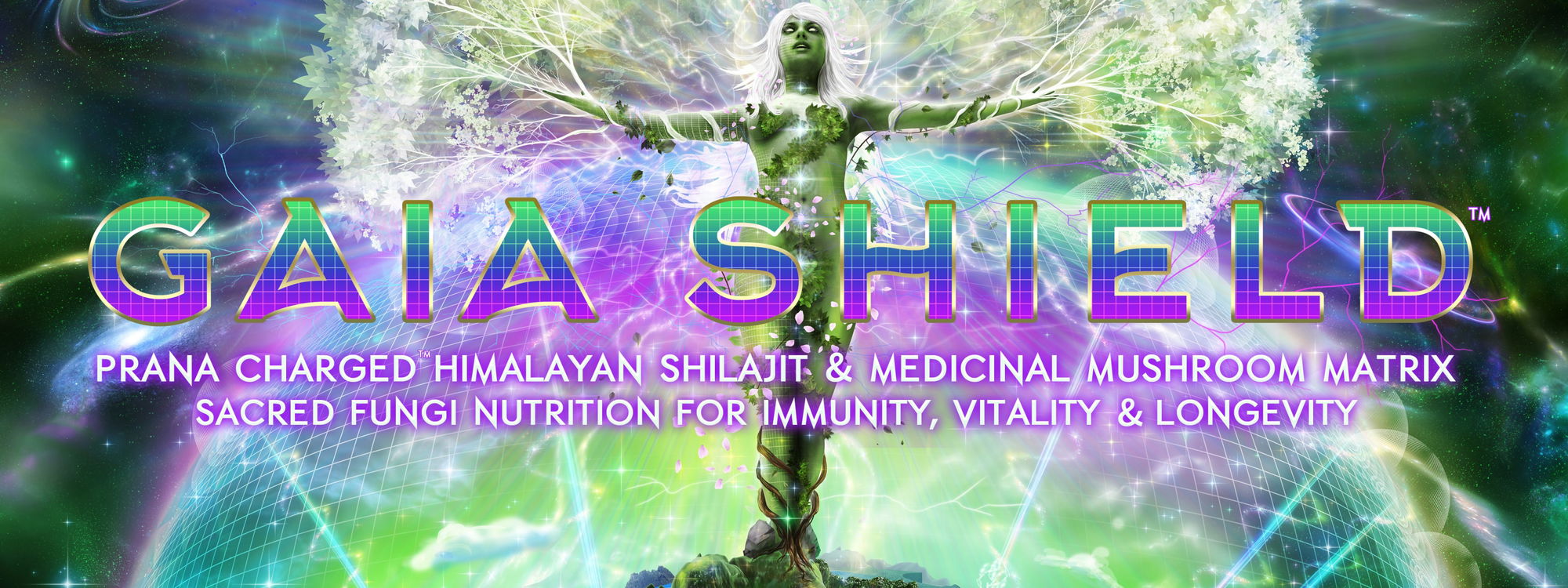gaia shield earth grid 5d earth gaia shield earth grid 5d earth