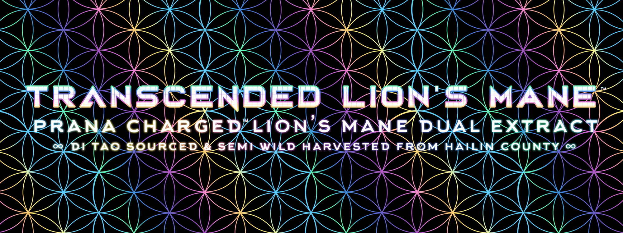 transcended lions mane di tao sourced dual extract powder transcended lions mane di tao sourced dual extract powder