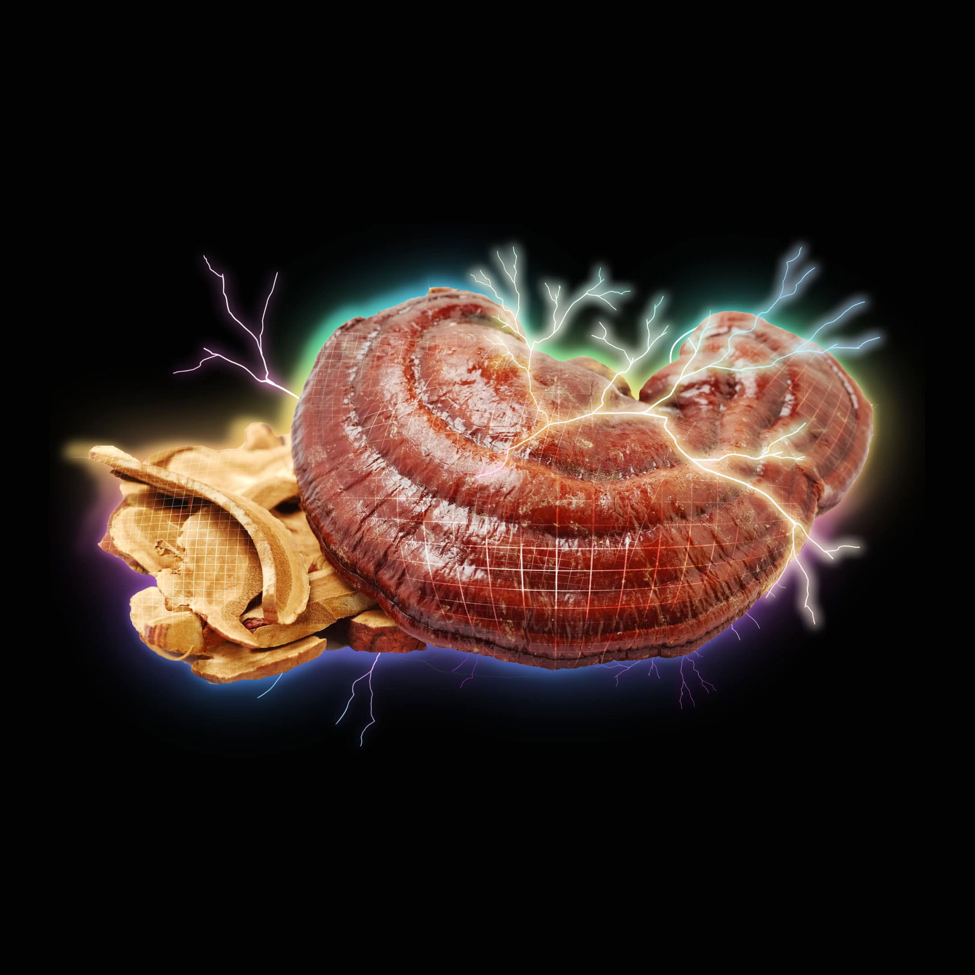 transcended reishi transcended reishi