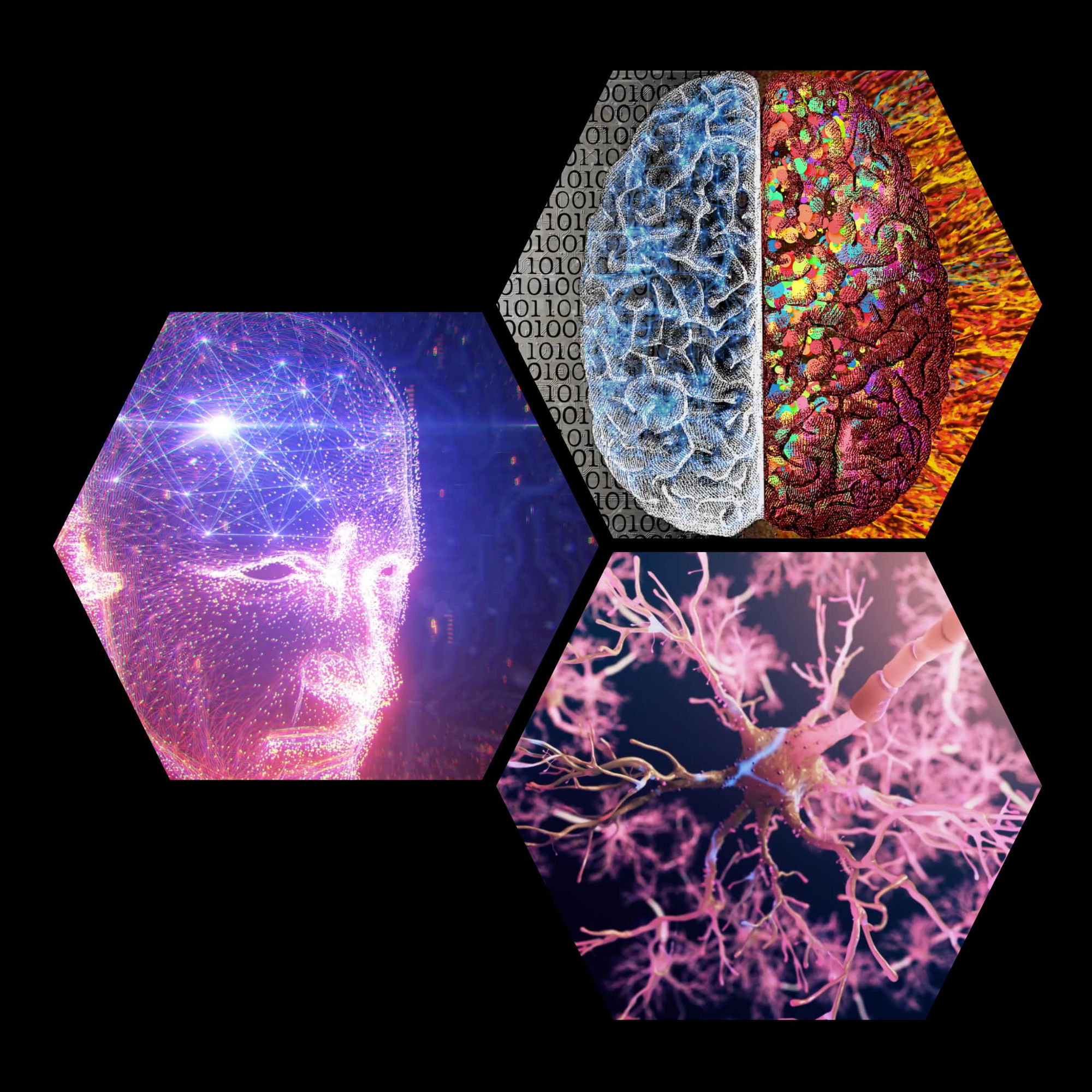 lion's mane nootropic mushroom brain booster neurone brain cells lion's mane nootropic mushroom brain booster neurone brain cells