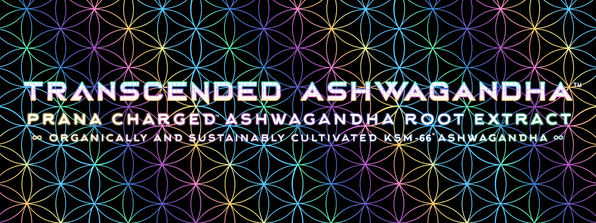 transcended ashwagandha transcended ashwagandha