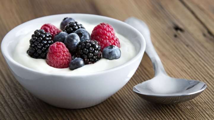 Coconut Yogurt Kefir. Vegan Yogurt. Coconut Yogurt Kefir. Vegan Yogurt.