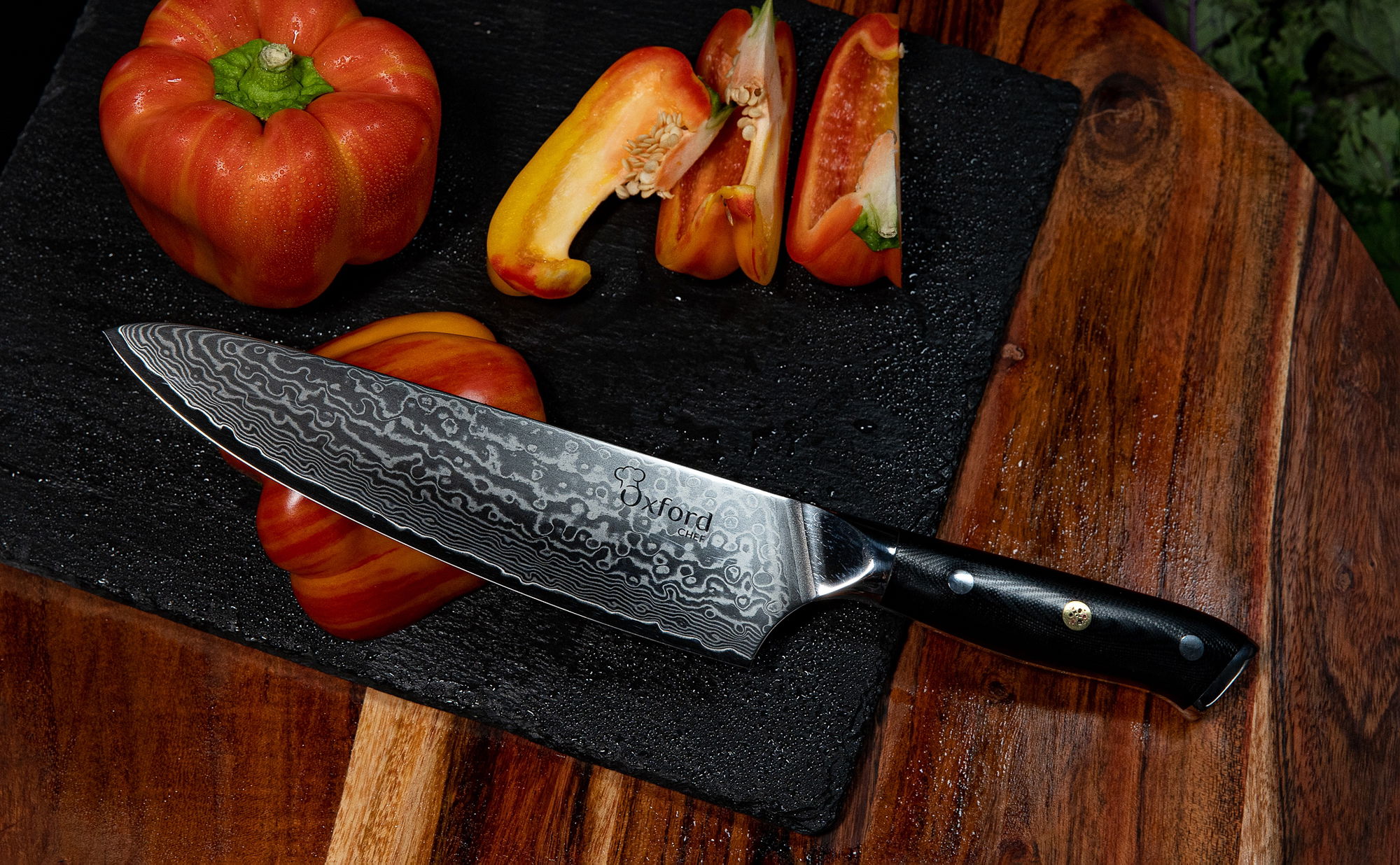 Bread Knife 8 inch by Oxford Chef - Best Quality Serrated Damascus- Ja –