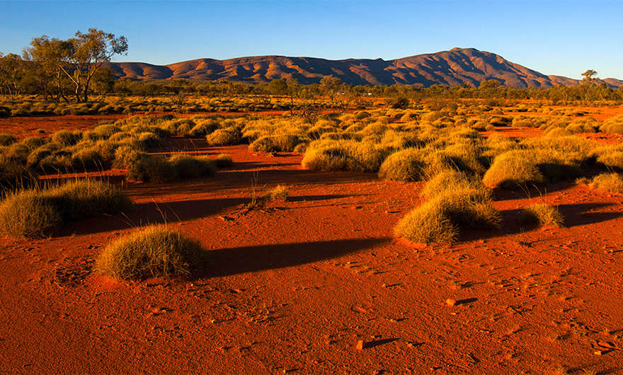 Earth Tones - Australian Red Clay Mask