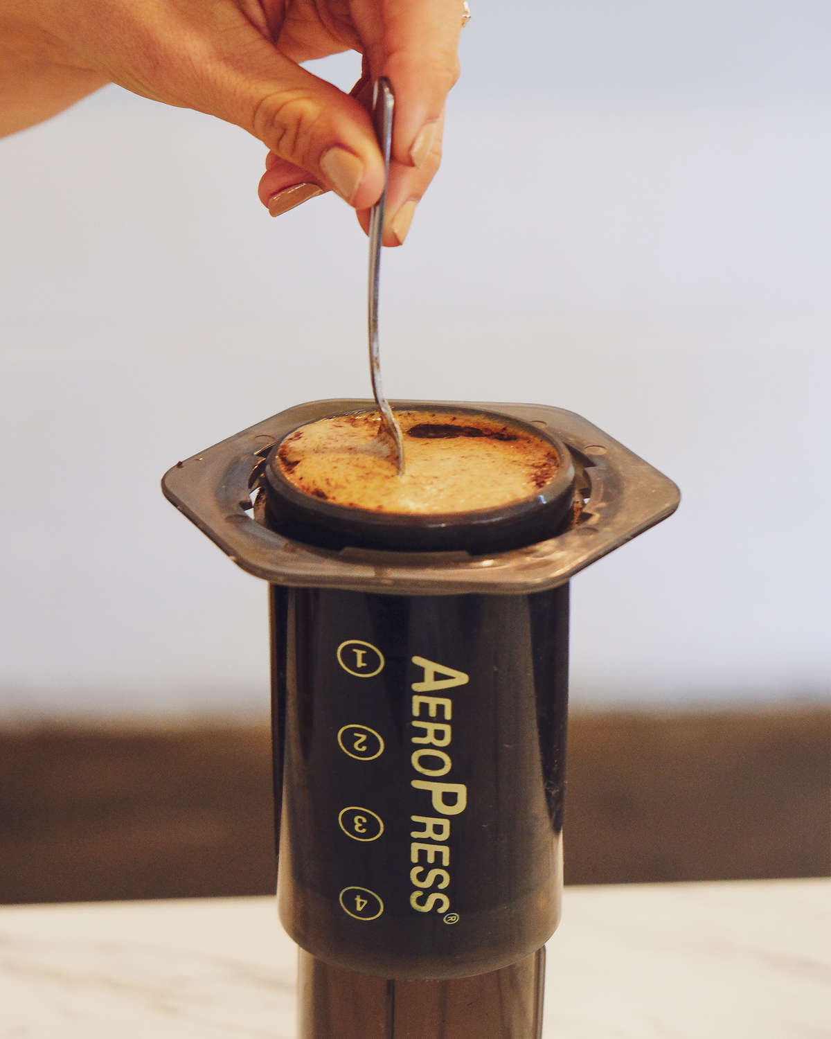 Aeropress Brew Guide