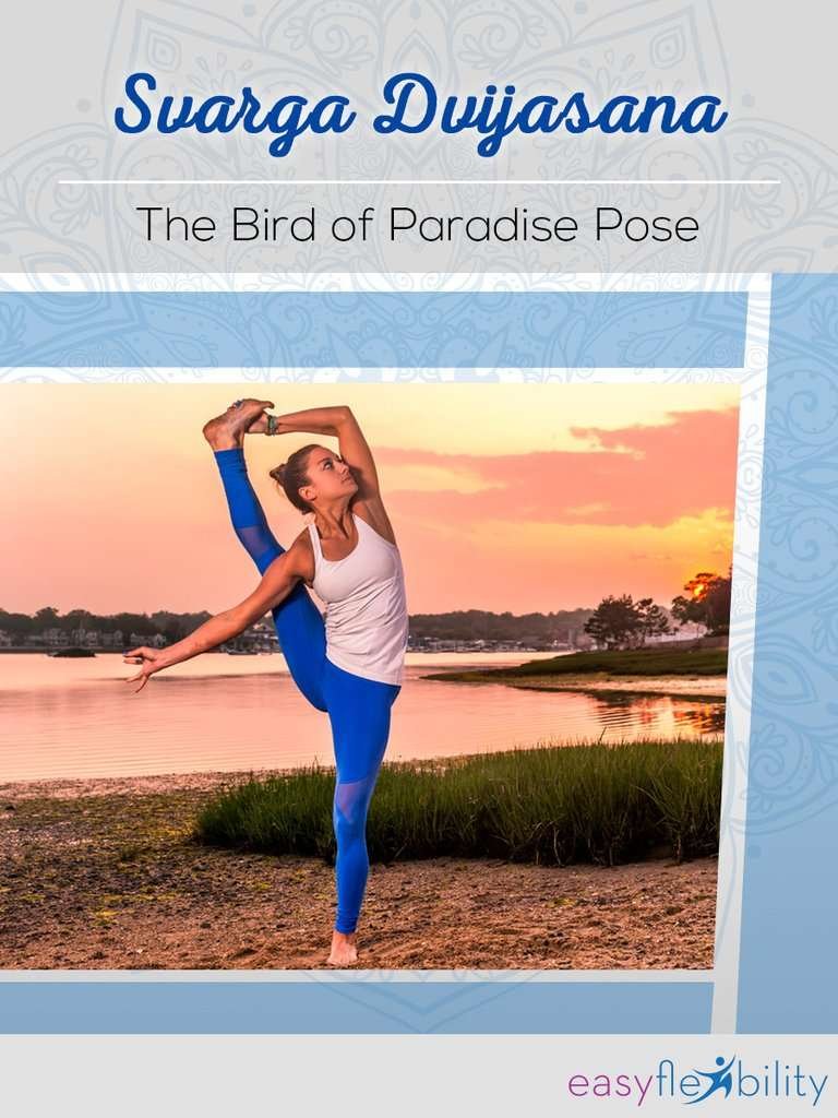 bird of paradise yoga