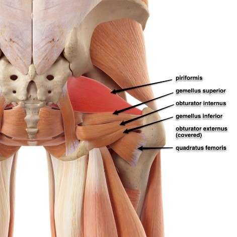 Arabesque Analysis – EasyFlexibility