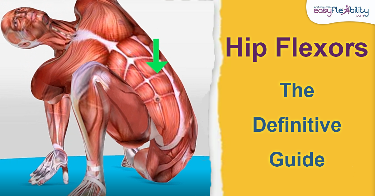 Hip Flexors: The Definitive Guide. – EasyFlexibility